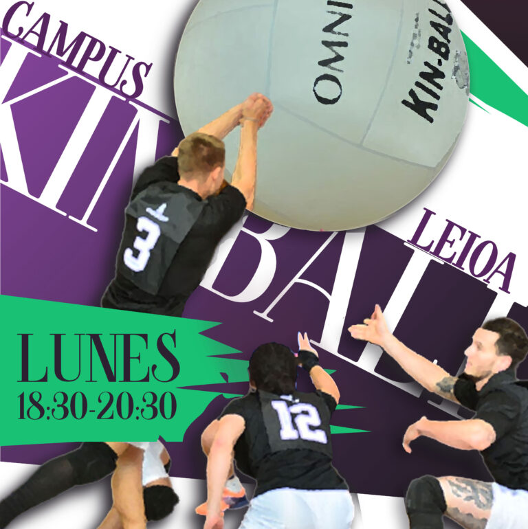 kin-ball Bizkaia